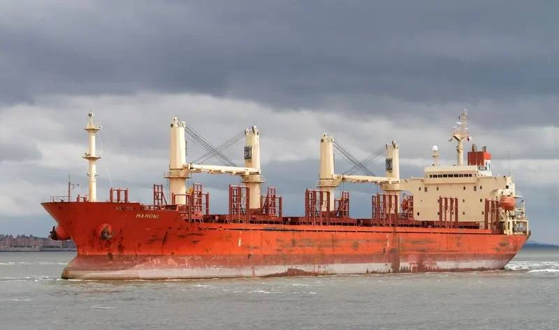 ZJ RAINBOW Bulk Carrier IMO 9117868 photo 7