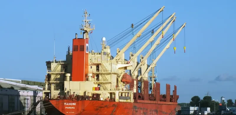 ZJ RAINBOW Bulk Carrier IMO 9117868 photo 8