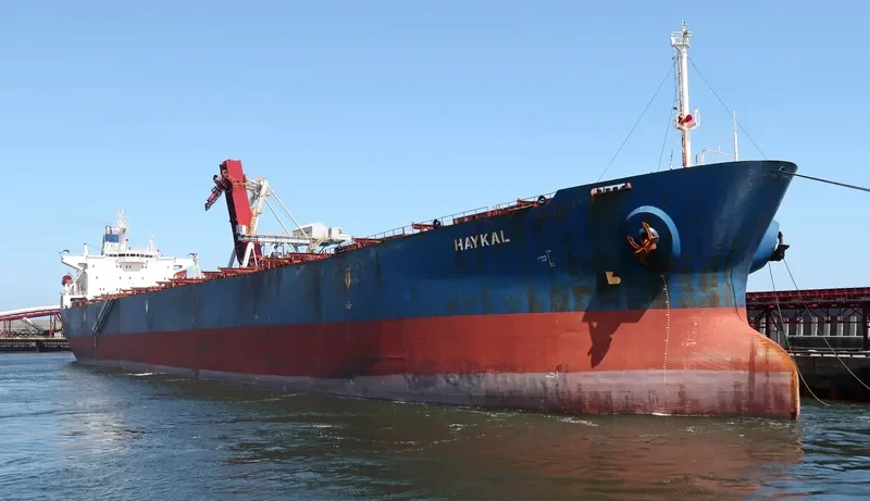 HAYKAL Bulk Carrier IMO 9117923 photo 7