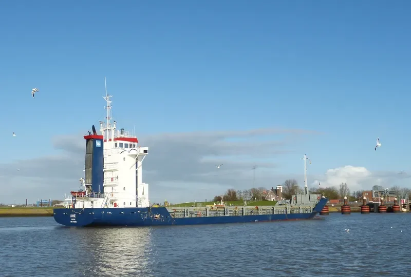 MERIC Container Ship IMO 9118006 photo 3