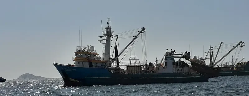 JADRANKA B General Cargo IMO 9118020