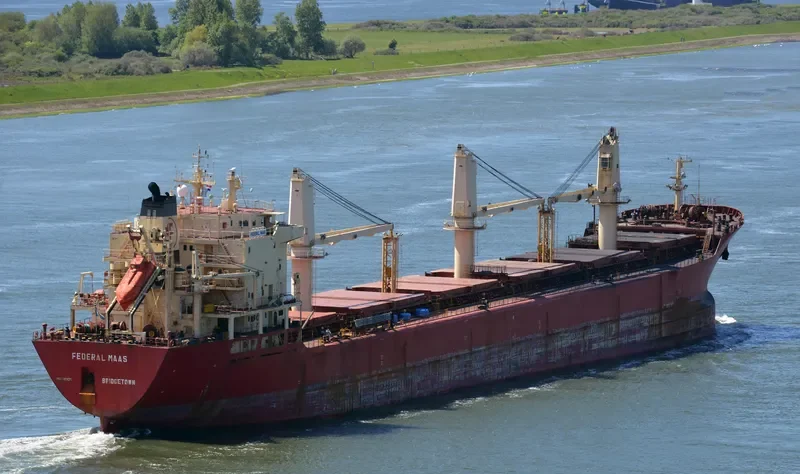 OMOLON Bulk Carrier IMO 9118135