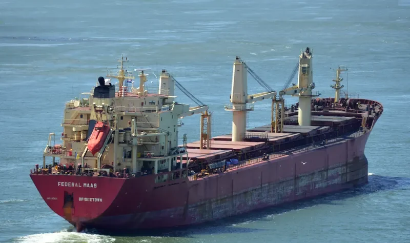OMOLON Bulk Carrier IMO 9118135 photo 6