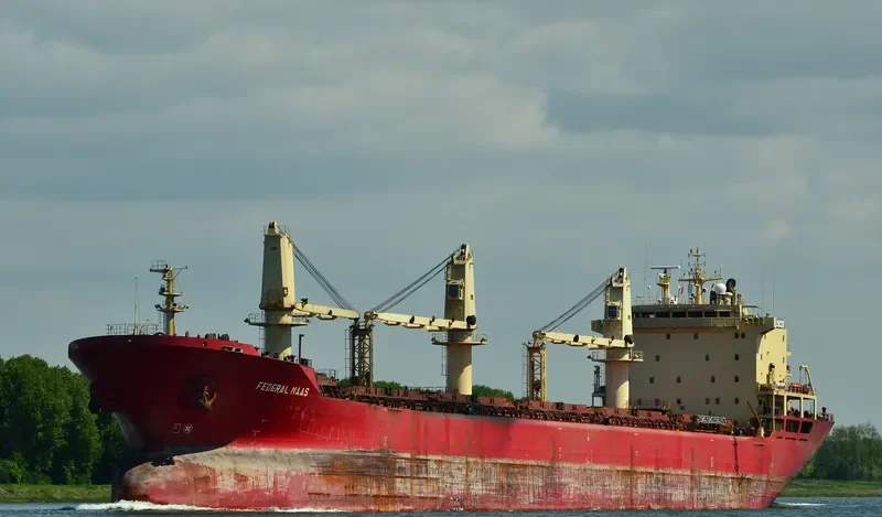 OMOLON Bulk Carrier IMO 9118135 photo 10