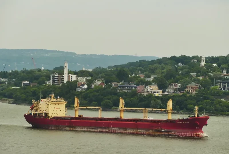 YARA J Bulk Carrier IMO 9118147 photo 7