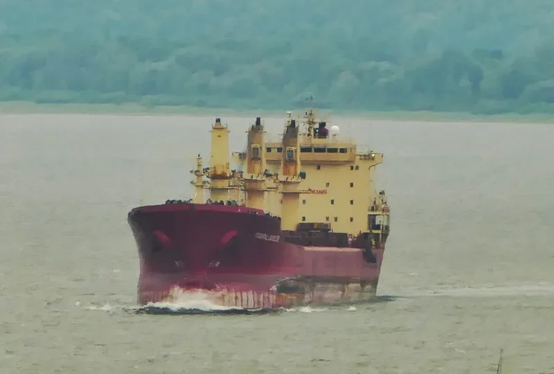 YARA J Bulk Carrier IMO 9118147 photo 10