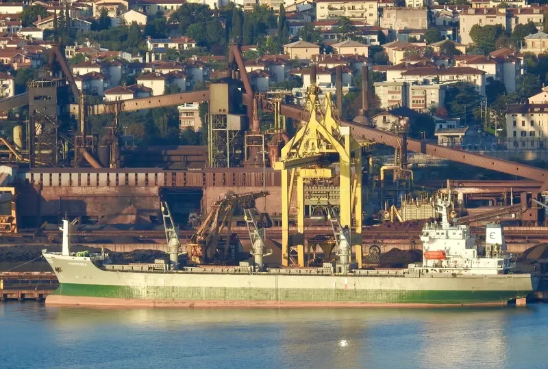 DIGNITY Bulk Carrier IMO 9118238