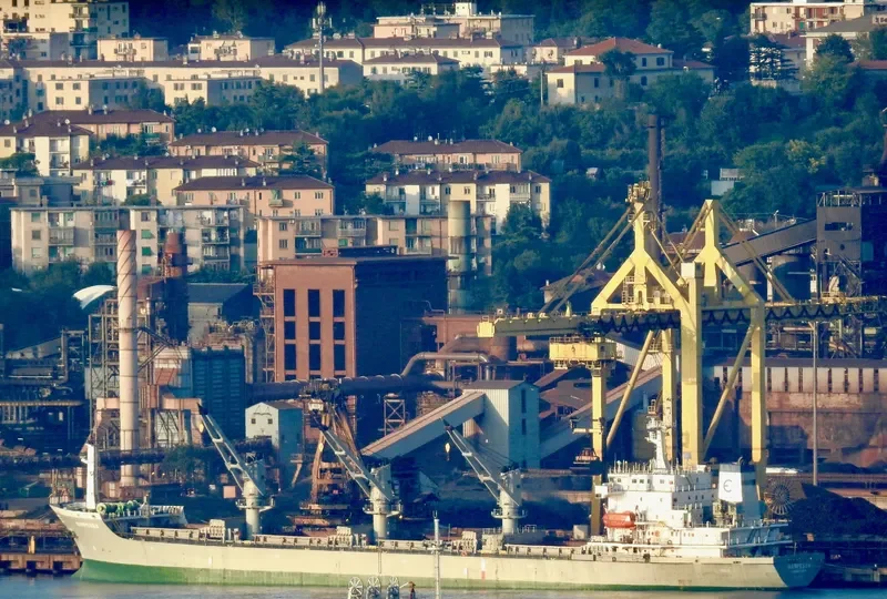 DIGNITY Bulk Carrier IMO 9118238 photo 2