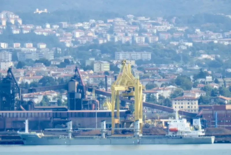 DIGNITY Bulk Carrier IMO 9118238 photo 3