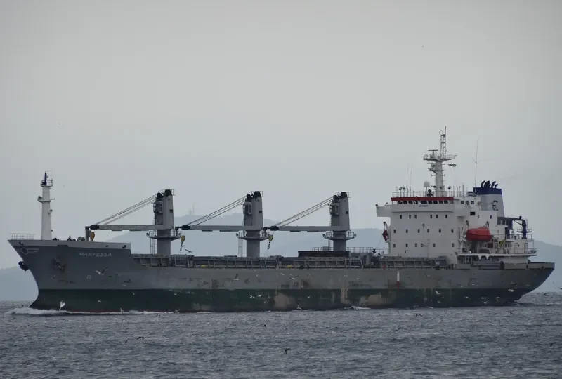 DIGNITY Bulk Carrier IMO 9118238 photo 4