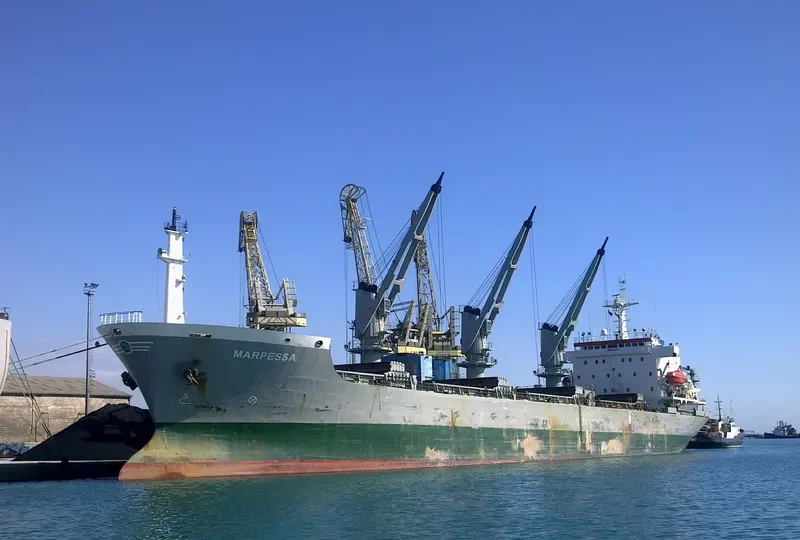 DIGNITY Bulk Carrier IMO 9118238 photo 5