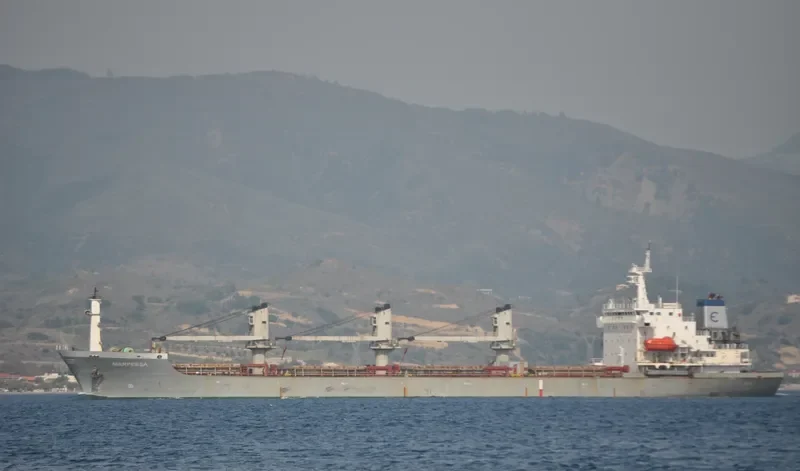 DIGNITY Bulk Carrier IMO 9118238 photo 7