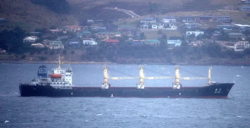 JIN CANG Bulk Carrier IMO 9118240 photo 5
