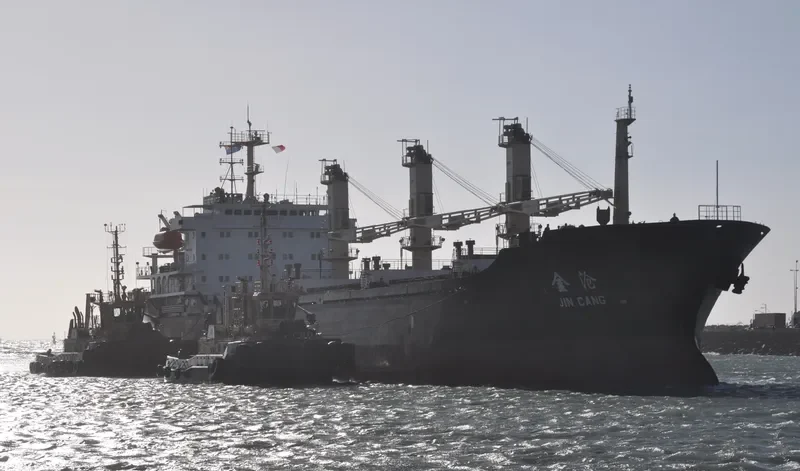 JIN CANG Bulk Carrier IMO 9118240 photo 9