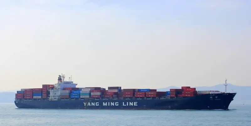 YM ZENITH Container Ship IMO 9118317 photo 3
