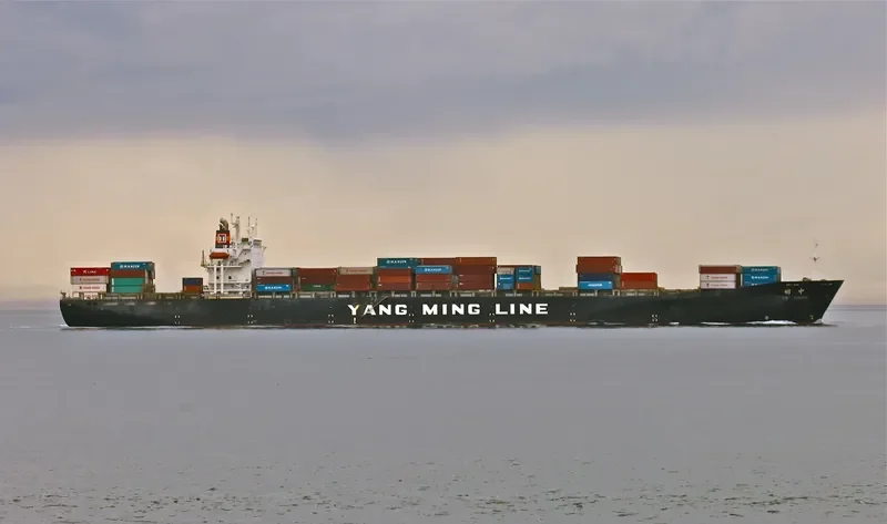 YM ZENITH Container Ship IMO 9118317 photo 6