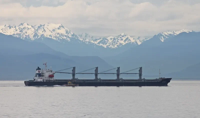 ANTOINE Bulk Carrier IMO 9118329 photo 8