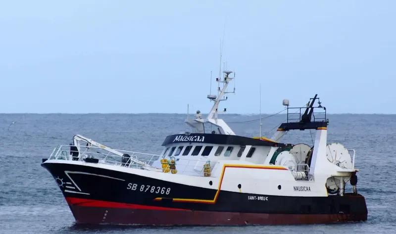 NAUSICAA General Cargo IMO 9118343