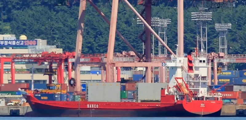 ZEYA Container Ship IMO 9118355 photo 3