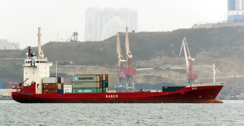 ZEYA Container Ship IMO 9118355 photo 4