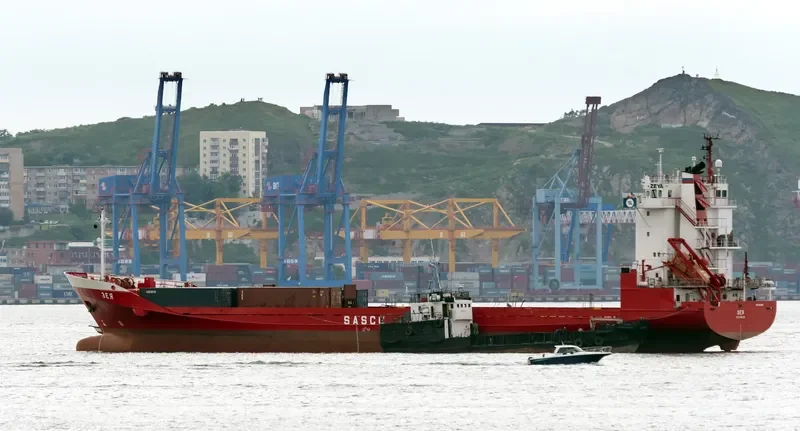ZEYA Container Ship IMO 9118355 photo 5
