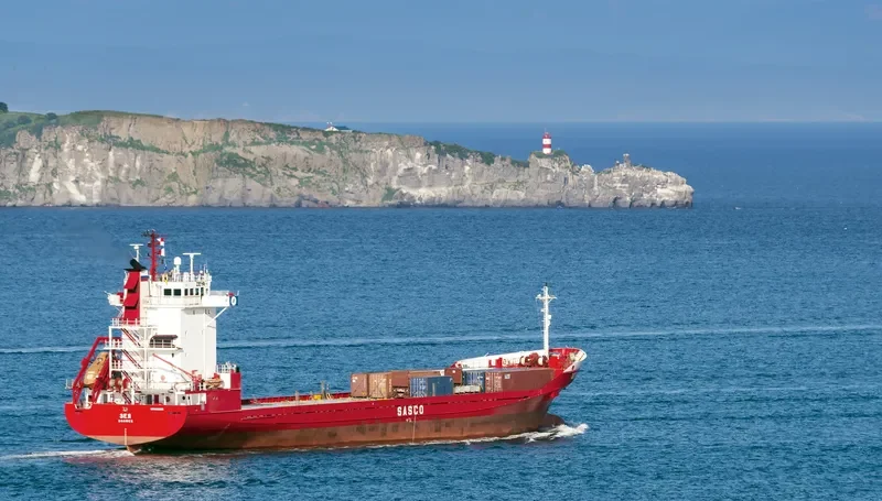 ZEYA Container Ship IMO 9118355 photo 7