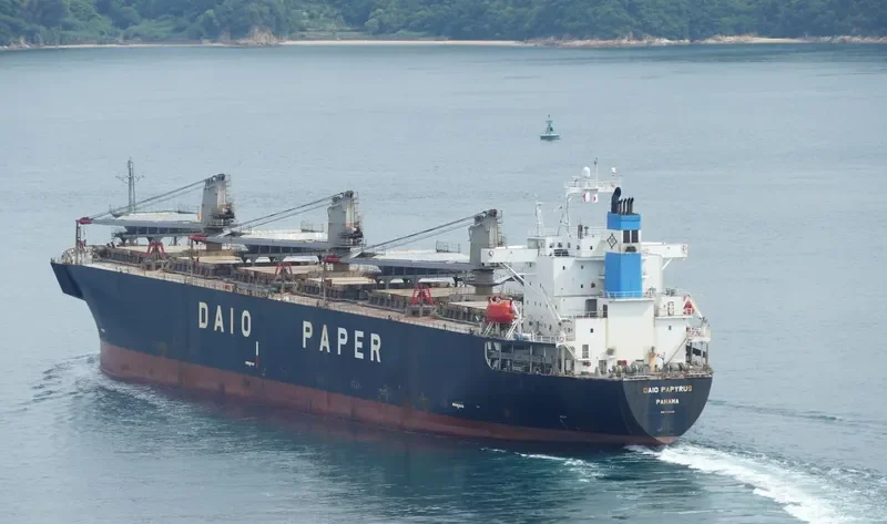PRIMROSE 6969 Bulk Carrier IMO 9118410