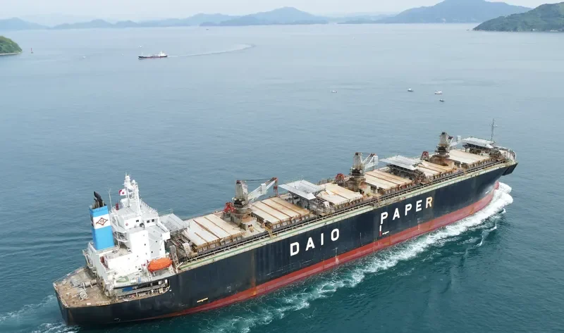 PRIMROSE 6969 Bulk Carrier IMO 9118410 photo 2