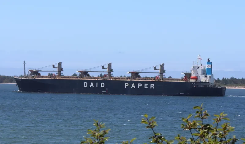 PRIMROSE 6969 Bulk Carrier IMO 9118410 photo 5