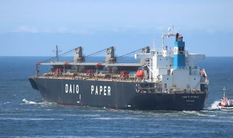 PRIMROSE 6969 Bulk Carrier IMO 9118410 photo 6
