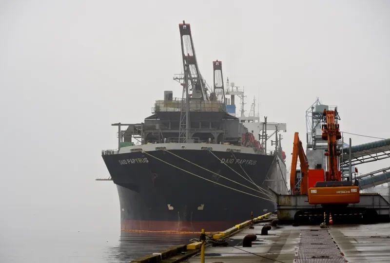 PRIMROSE 6969 Bulk Carrier IMO 9118410 photo 7