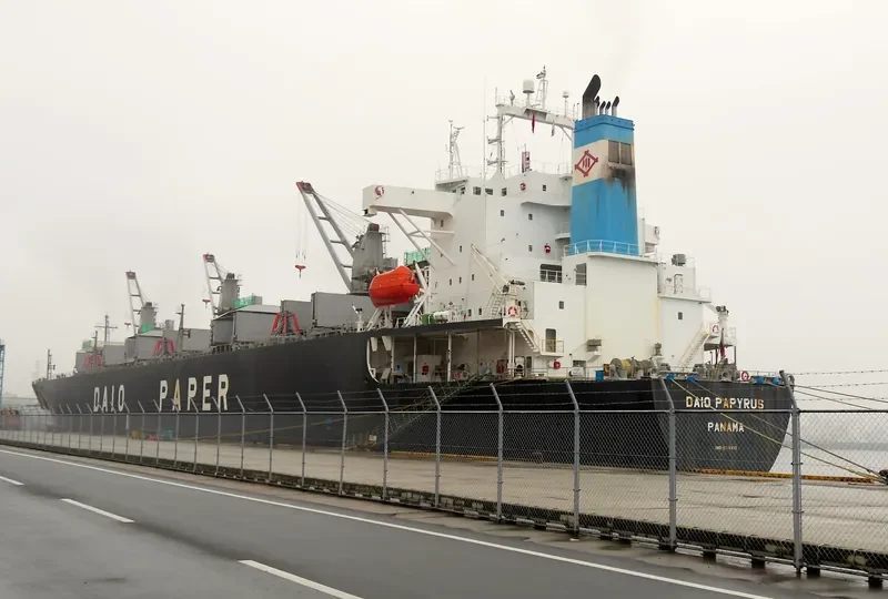 PRIMROSE 6969 Bulk Carrier IMO 9118410 photo 8