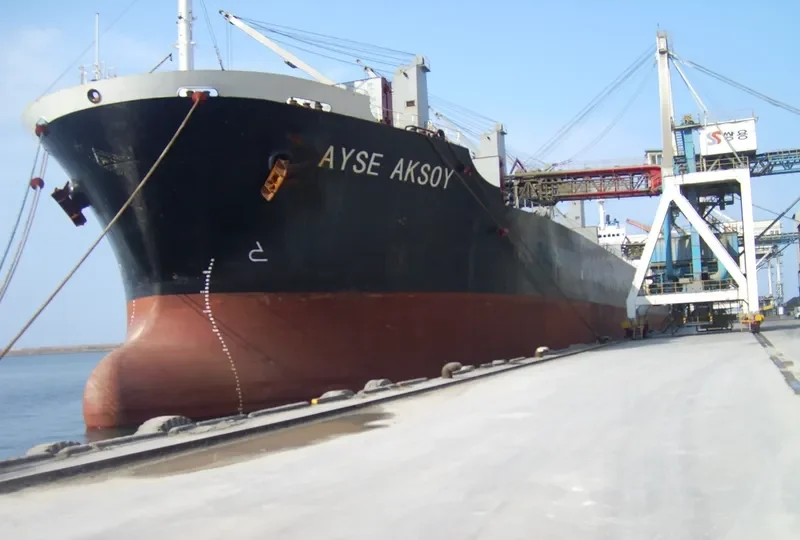 FATEMA JAHAN Bulk Carrier IMO 9118422 photo 10