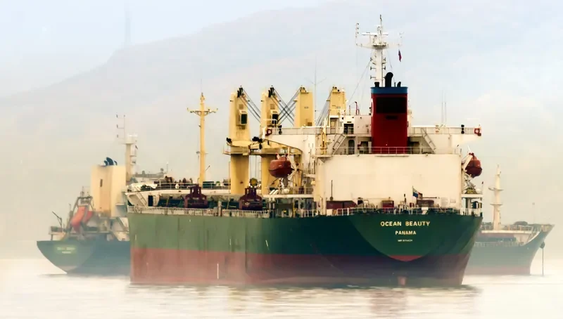 WANG JIA Bulk Carrier IMO 9118434