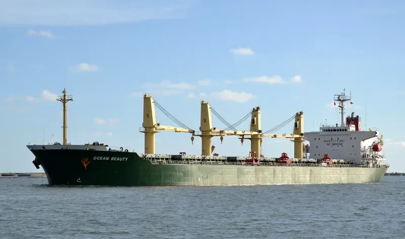 WANG JIA Bulk Carrier IMO 9118434 photo 3