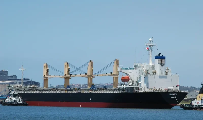 WANG JIA Bulk Carrier IMO 9118434 photo 5