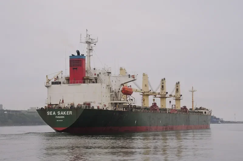 WANG JIA Bulk Carrier IMO 9118434 photo 6