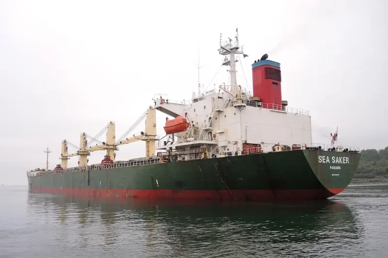 WANG JIA Bulk Carrier IMO 9118434 photo 7