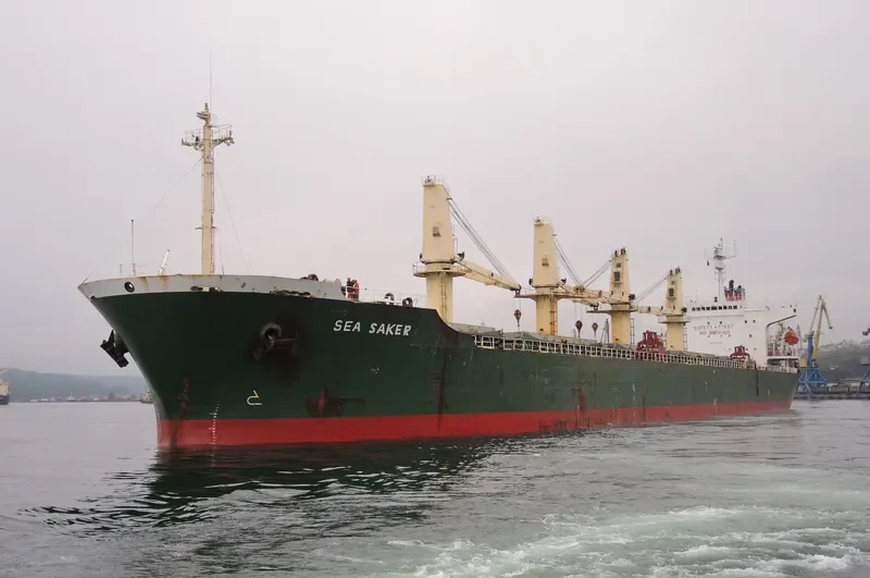 WANG JIA Bulk Carrier IMO 9118434 photo 8
