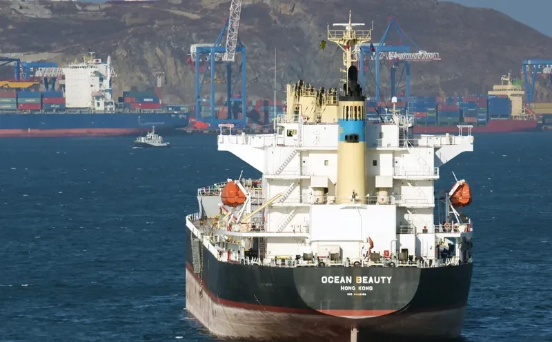 WANG JIA Bulk Carrier IMO 9118434 photo 9
