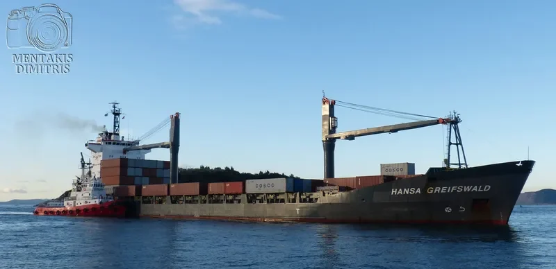 DALAI Container Ship IMO 9118501 photo 2