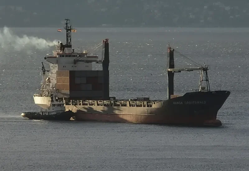 DALAI Container Ship IMO 9118501 photo 8