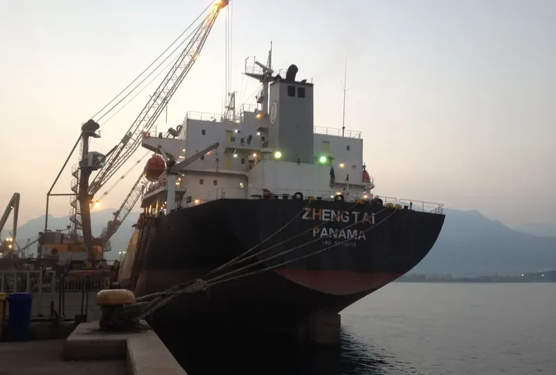ZHENG TAI Bulk Carrier IMO 9118666