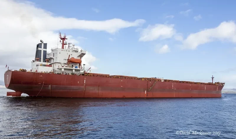 ELEFSIS Bulk Carrier IMO 9118678 photo 5