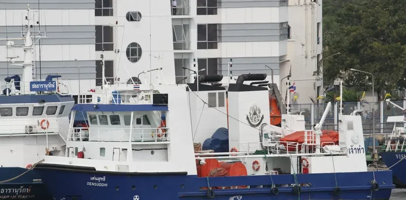 DENSUDDHI General Cargo IMO 9118719