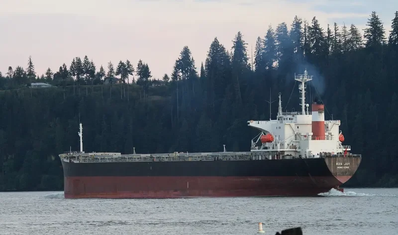 AN PING 8 Bulk Carrier IMO 9118848 photo 6