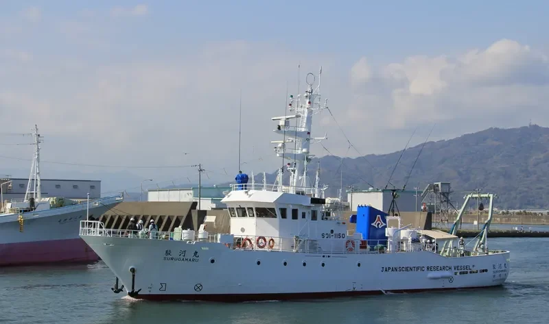 SURUGA MARU General Cargo IMO 9118886 photo 3