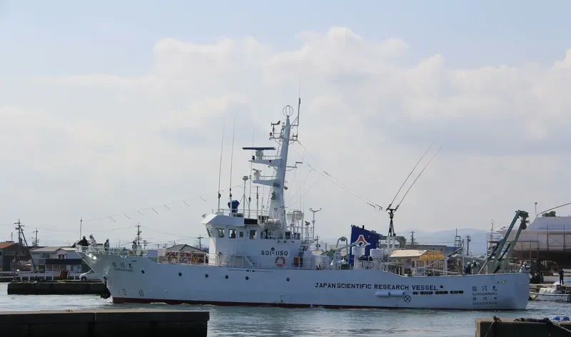 SURUGA MARU General Cargo IMO 9118886 photo 8