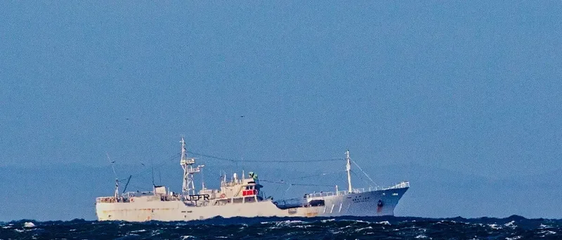 FUKUSEKI MARU NO.31 General Cargo IMO 9119050