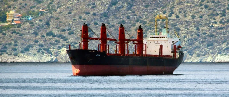 LENIENT Bulk Carrier IMO 9119074
